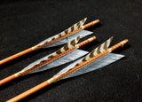 Hand Fletched Triangle Tip Arrows (30 - 35# @ 31") (Set of 3)