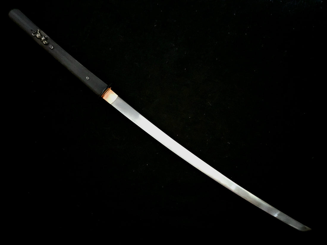 Dragon King - Modern Katana