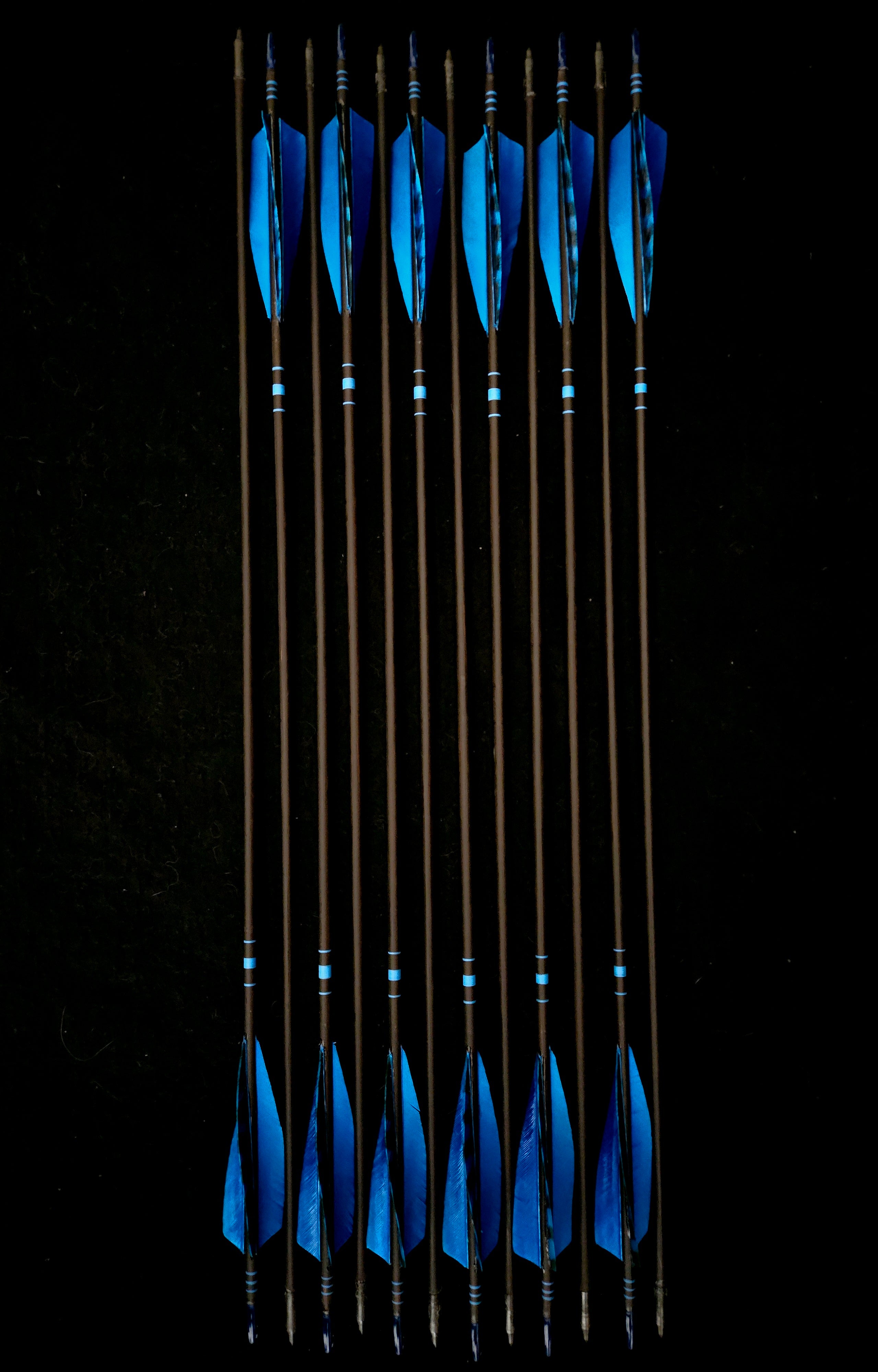 DAC Custom - Hand Fletched Arrows - Blue Banded (35-40# @31")