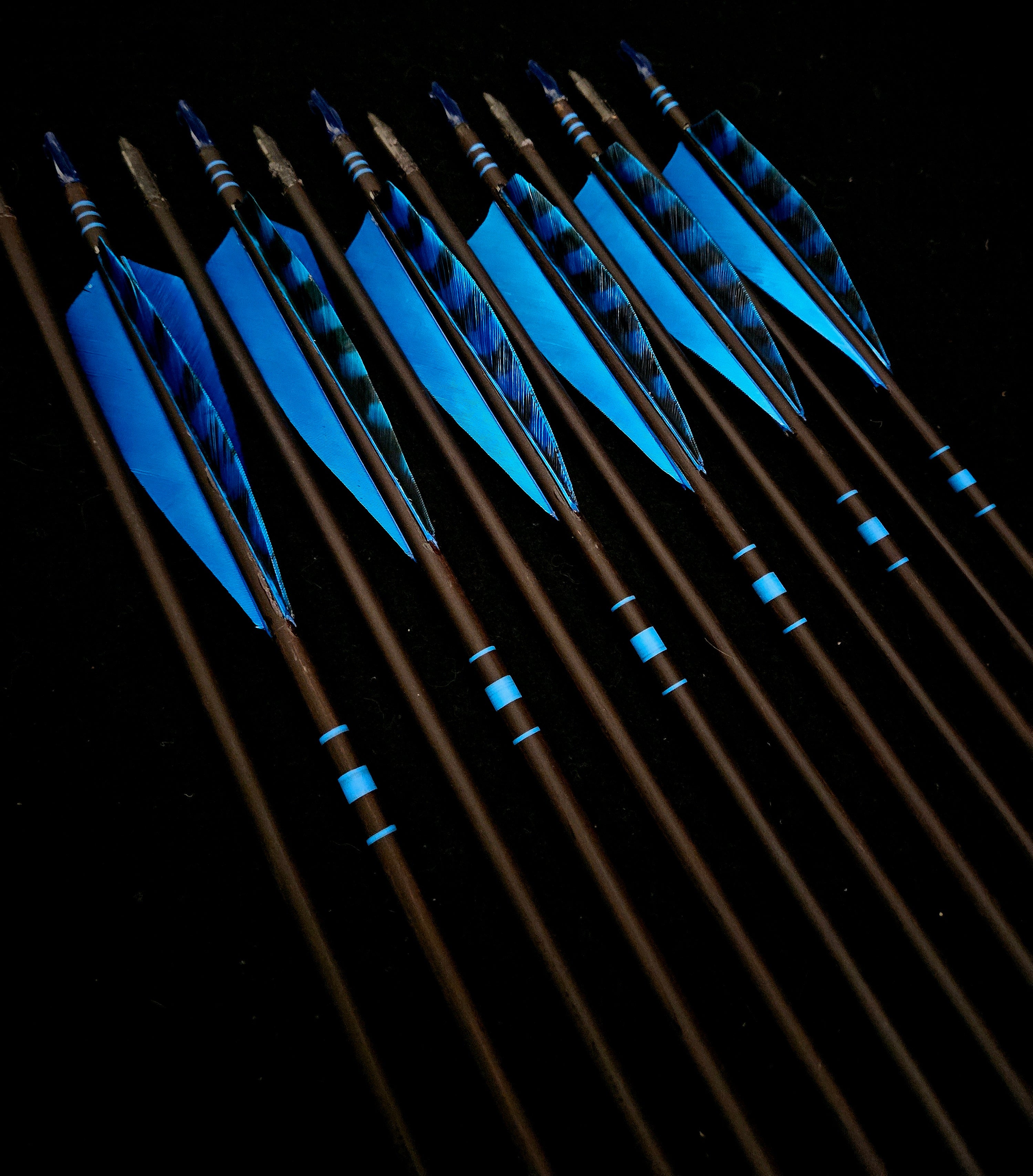 DAC Custom - Hand Fletched Arrows - Blue Banded (35-40# @31")