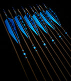 DAC Custom - Hand Fletched Arrows - Blue Banded (35-40# @31")