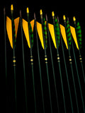 DAC Custom - Hand Fletched Arrows - Yellow/Green Banded (30-35# @31")