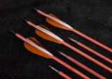 DAC Custom - Hand Fletched Target Point Arrows - Brown / White (45 - 50# @ 31") (Set of 6)