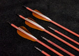Hand Fletched Target Point Arrows - Brown / White (45 - 50# @ 31") (Set of 6)