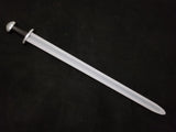 Black Fencer - V6 Viking Sword Trainer