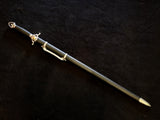 Practical Tai-Chi Sword