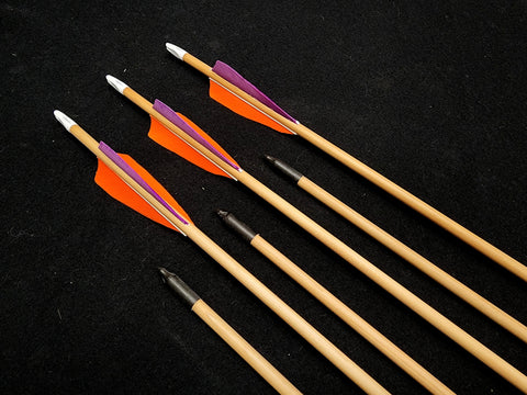 DAC Custom - Hand Fletched Target Point Arrows - Orange / Purple (40 ...