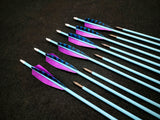 Hand Fletched Target Point Arrows - Blue / Purple (30 - 35# @ 31") (Set of 12)