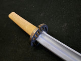Black Fencer - V6 Wakizashi Trainer